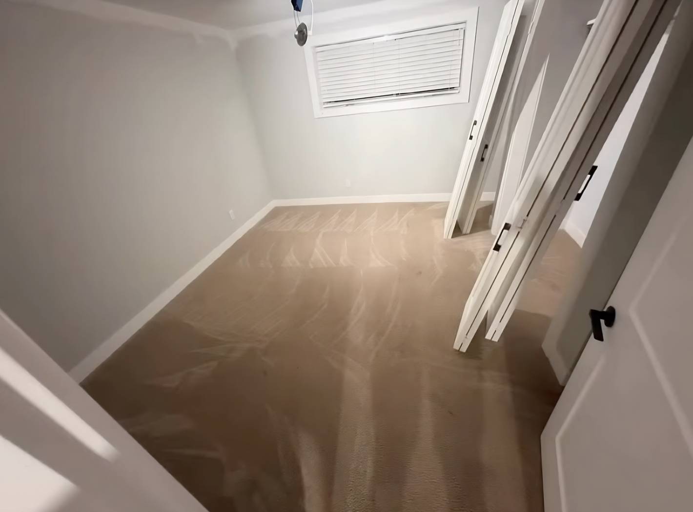 Freshly cleaned carpeted room with visible clean lines